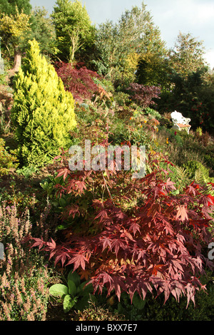 Mount Pleasant Gardens, England. Herbstlicher Blick auf die Blumenbeete und Grenzen in Mount Pleasant Gardens. Stockfoto