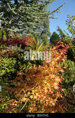 Mount Pleasant Gardens, England. Herbstlicher Blick auf die Blumenbeete und Grenzen in Mount Pleasant Gardens. Stockfoto