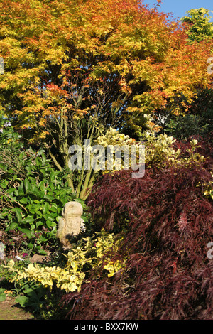 Mount Pleasant Gardens, England. Herbstlicher Blick auf die Blumenbeete und Grenzen in Mount Pleasant Gardens. Stockfoto