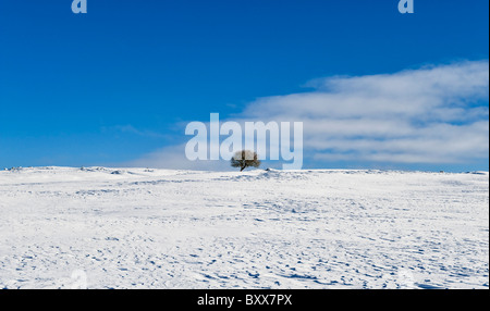 Eine Winteransicht von Stonewall Hill, Radnorshire, an der Grenze zwischen England und Wales (UK) Stockfoto