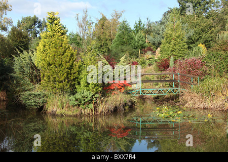 Mount Pleasant Gardens, England. Herbstlicher Blick auf einen Teich in Mount Pleasant Gardens. Stockfoto