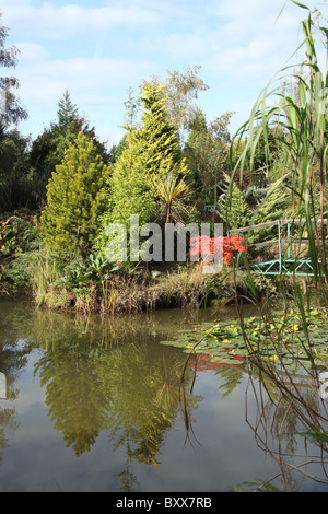 Mount Pleasant Gardens, England. Herbstlicher Blick auf einen Teich in Mount Pleasant Gardens. Stockfoto