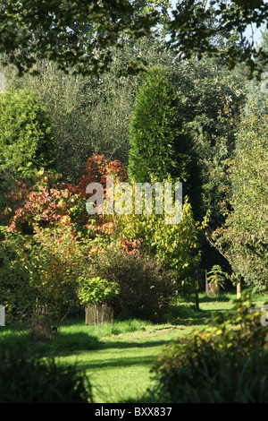 Die Quinta Arboretum, England. Herbstlicher Blick auf Quinta Arboretum. Stockfoto