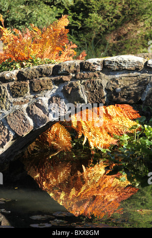 Ness Botanic Gardens, England. Herbstlicher Blick auf die steinerne Fußgängerbrücke in Ness Botanic Gardens Steingarten hautnah. Stockfoto