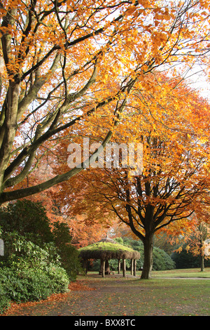 Nachlass von Tatton Park, England. Herbstliche Ansicht Tatton Park Gärten mit strohgedeckten afrikanischen Hütte im Hintergrund. Stockfoto