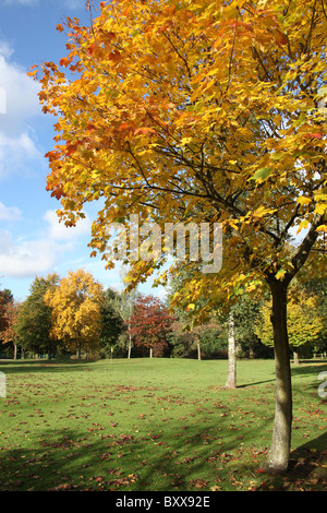 Walton Hall und Gärten. Herbstlicher Blick auf Walton Hall Pitch &amp; Putt Golfplatz und Gärten. Stockfoto