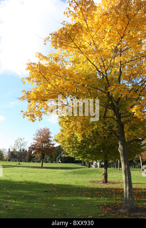 Walton Hall und Gärten. Herbstlicher Blick auf Walton Hall Pitch &amp; Putt Golfplatz und Gärten. Stockfoto