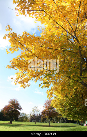 Walton Hall und Gärten. Herbstlicher Blick auf Walton Hall Pitch &amp; Putt Golfplatz und Gärten. Stockfoto