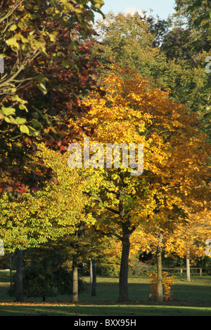 Walton Hall und Gärten. Herbstliche Ansicht der Walton Hall Gärten. Stockfoto