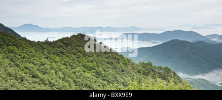 Die Sobaek-Berge, eingehüllt in Nebel am frühen Morgen von Mt Daedun im Daedusan Provincial Park, South Korea gesehen. Stockfoto