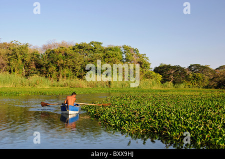 Mann, Paddeln im Nicaragua-See, in der Bucht von Granada, Nicaragua, Mittelamerika Stockfoto