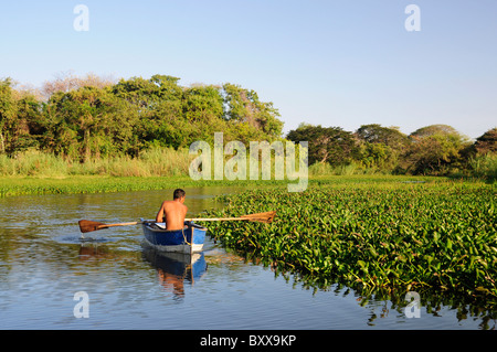 Mann, Paddeln im Nicaragua-See, in der Bucht von Granada, Nicaragua, Mittelamerika Stockfoto