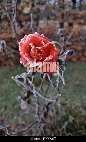 Stiegen die scharfkantigen in Raureif, Null Grad des Winters Stockfoto