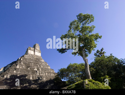 Maya-Tempel Nr. 1 (große Jaguar), Stockfoto