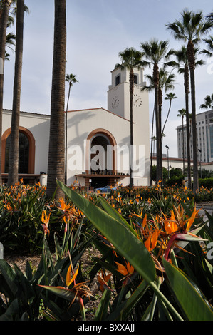 Union Station, Downtown Los Angeles, inmitten von Paradiesvogel Pflanzen und Palmen. Stockfoto