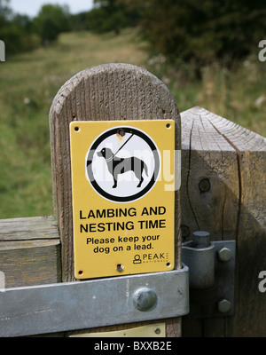 Ein Peak District National Park Schild mit der Aufschrift Lambing und Nistzeit, bitte halten Sie Ihren Hund an der Leine, England, Großbritannien Stockfoto