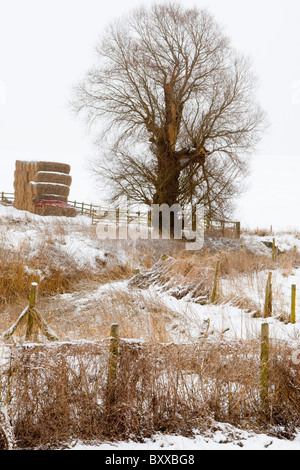 Ackerland im Winterschnee, in der Nähe von Avebury, Wiltshire Stockfoto