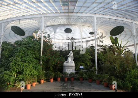 Innere des Kibble Palace viktorianischen Gewächshaus im Botanischen Garten, Glasgow, Schottland. Stockfoto