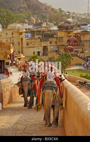 Touristen, die Reiten Elefanten bis zu Amber Fort, Jaipur, Indien. Stockfoto