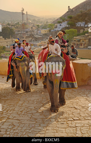 Touristen, die Reiten Elefanten bis zu Amber Fort, Jaipur, Indien. Stockfoto