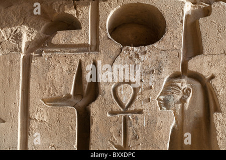 Nahaufnahme von Carved Relief in Medinet Habu, Leichenhalle Tempel von Ramses III, Westufer des Nil, Luxor, Ägypten Stockfoto