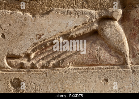 Nahaufnahme der Erleichterung des sandalentragende Fußes an den Pharao Ramses III, Medinet Habu, West Bank Luxor-Tempel, Ägypten Stockfoto