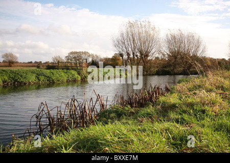 Ein Winter-Wiese-Szene in England Stockfoto