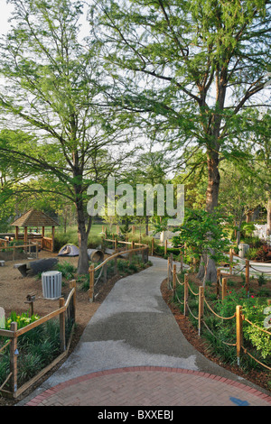 Kronkosky des winzigen Tot Natur vor Ort, Zoo San Antonio, TX Stockfoto