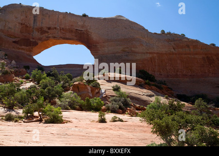 Wilson Arch ist ein natürlicher Sandstein Bogen entlang der U.S. Route 191 in der Nähe von Moab, Utah, USA. Stockfoto