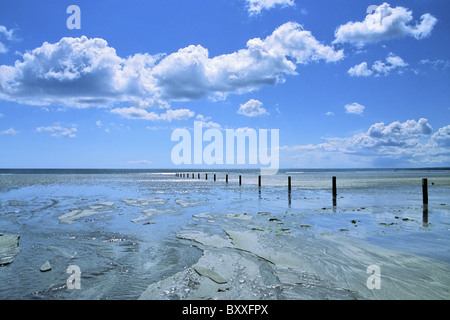 Tyrella Strand und Düne Conservation Area, Dundrum Bay. Stockfoto