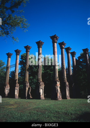 Windsor Ruinen, Alcorn, Mississippi - Vorkriegs Plantage Herrenhaus brannte im Jahre 1890 auf der Spur Natchez Trace Fußweg. Stockfoto