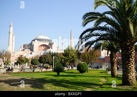 Hagia Sophia-Kuppeln und Minarette Istanbul Türkei | ISTANBUL, Türkei — Umrahmt von Palmen im Sultanahmet-Park erheben sich die Kuppel der Hagia Sophia und ihre vier Minarette über der Skyline von Istanbul, eine Silhouette, die die historische Halbinsel seit der osmanischen Eroberung im Jahr 1453 prägt. Die von Anthemius von Tralles und Isidor von Milet konstruierte Zentralkuppel erstreckt sich über etwa 105 Fuß (32 m) und war jahrhundertelang das größte Kuppelfach der Welt. Stockfoto