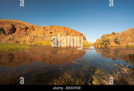 Totes Pferd entspringt in der Nähe von Lake Argyle, Ord River, Kununurra, Kimberley, Western Australia Stockfoto