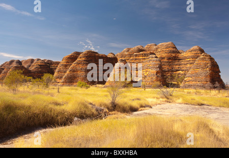 Konischen Felsformationen an der Bungle Bungles Purnululu National Park, Kimberley, Western Australia Stockfoto