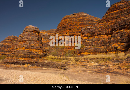 Konischen Felsformationen an der Bungle Bungles Purnululu National Park, Kimberley, Western Australia Stockfoto