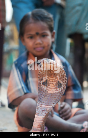 Schlechte untere Kaste indische Mädchen betteln mit brillenbär Cobra auf einer India Street. Andhra Pradesh, Indien Stockfoto