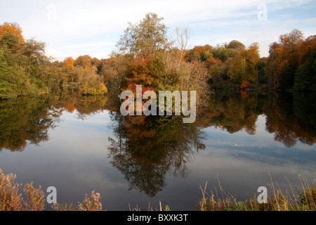 Herbst Reflexionen in den stillen Wassern des Sees Wohngegend, in der Nähe von Fonthill Bischof, Wiltshire, England, UK. Stockfoto