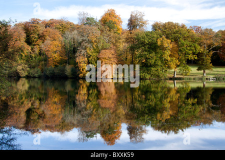 Reflexionen von Herbstfarben in den stillen Wassern des Sees Wohngegend, in der Nähe von Fonthill Bischof, Wiltshire, England, UK. Stockfoto