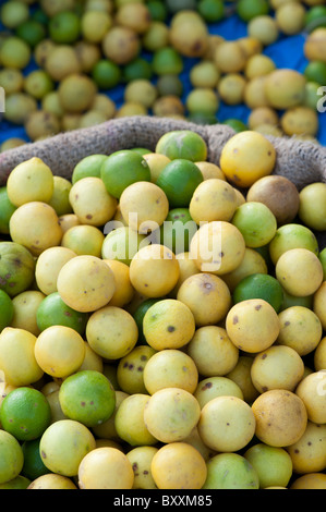 Sack von Zitronen auf ein Indien Markt. Andhra Pradesh, Indien Stockfoto