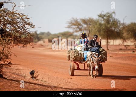 Eine Familie bringt geerntete Hirse auf den Markt von Eselskarren in Djibo, Burkina Faso. Stockfoto