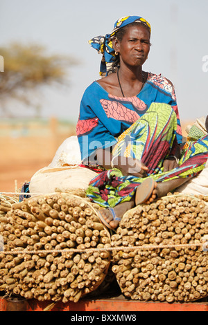 Eine Familie bringt geerntete Hirse auf den Markt von Eselskarren in Djibo, Burkina Faso. Stockfoto