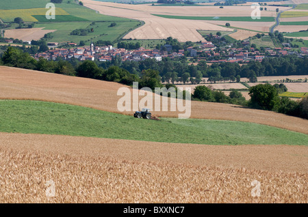 Traktor in einem Weizenfeld in der Ebene in der Auvergne. Frankreich. Stockfoto