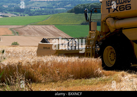 Mähdrescher in einem Feld. Frankreich. Auvergne. Stockfoto
