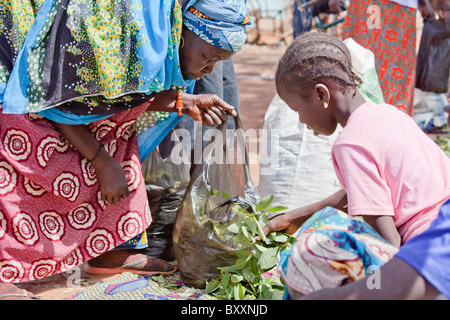 In der Stadt Djibo im nördlichen Burkina Faso hält ein älterer Fulbe-Frau auf dem Markt, Grüns für das Abendessen zu kaufen. Stockfoto