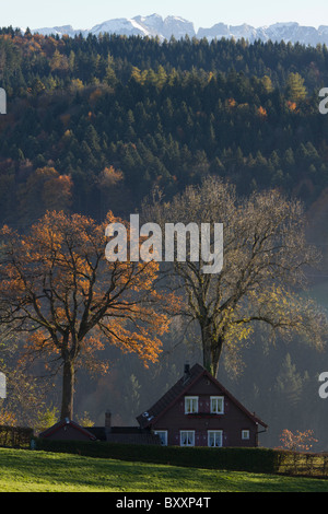 Farben des Herbstes. Ein einzelnes Haus sieht in den späten Nachmittag Licht vor einem dunklen Wald. Stockfoto