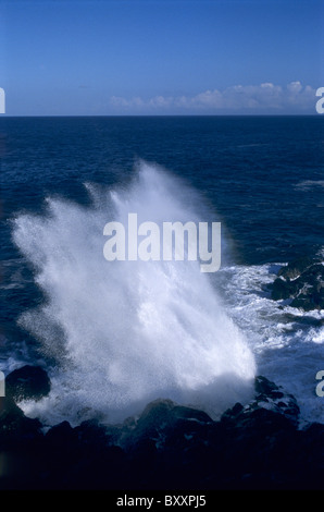 Le Souffleur, Pointe du Tor, südlich von Saint Leu, Insel La Réunion (Frankreich), Indischer Ozean Stockfoto