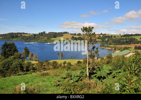 Blick auf einem grünen Hügel mit Rasen, Bäumen und Gunnera Pflanzen, Fischzucht Lachs Käfige, See Llanquihue Bucht, Frutillar, Chile Stockfoto