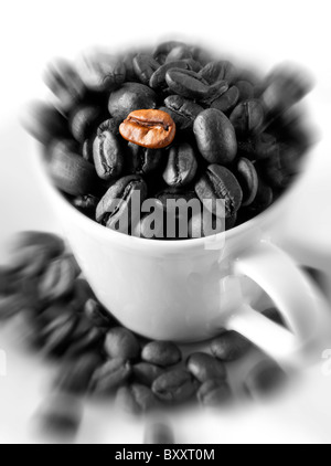 Einzelnen Kaffeebohnen in eine Kaffeetasse. Stock Foto. Stockfoto