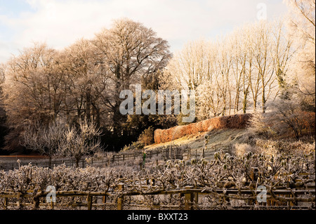 Painswick Rokoko-Garten im Winter nach starken Frost, Gloucestershire, England, Vereinigtes Königreich Stockfoto