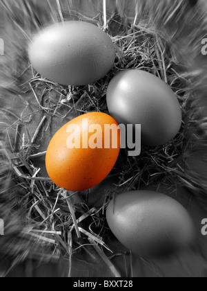 verschiedene farbige Ei in einer Schale mit Eiern. Stockfoto